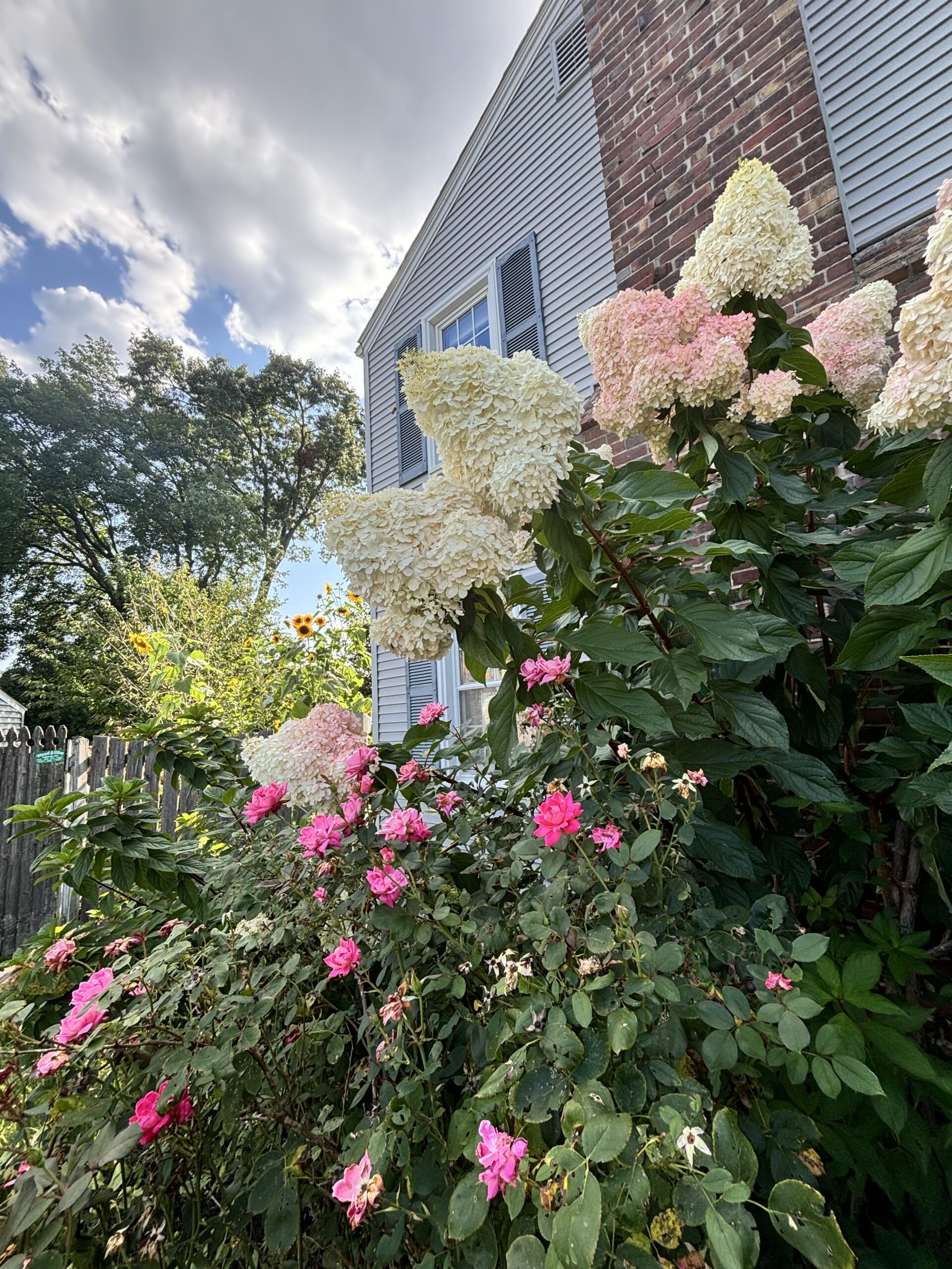 A thoughtfully restored front garden in East Providence