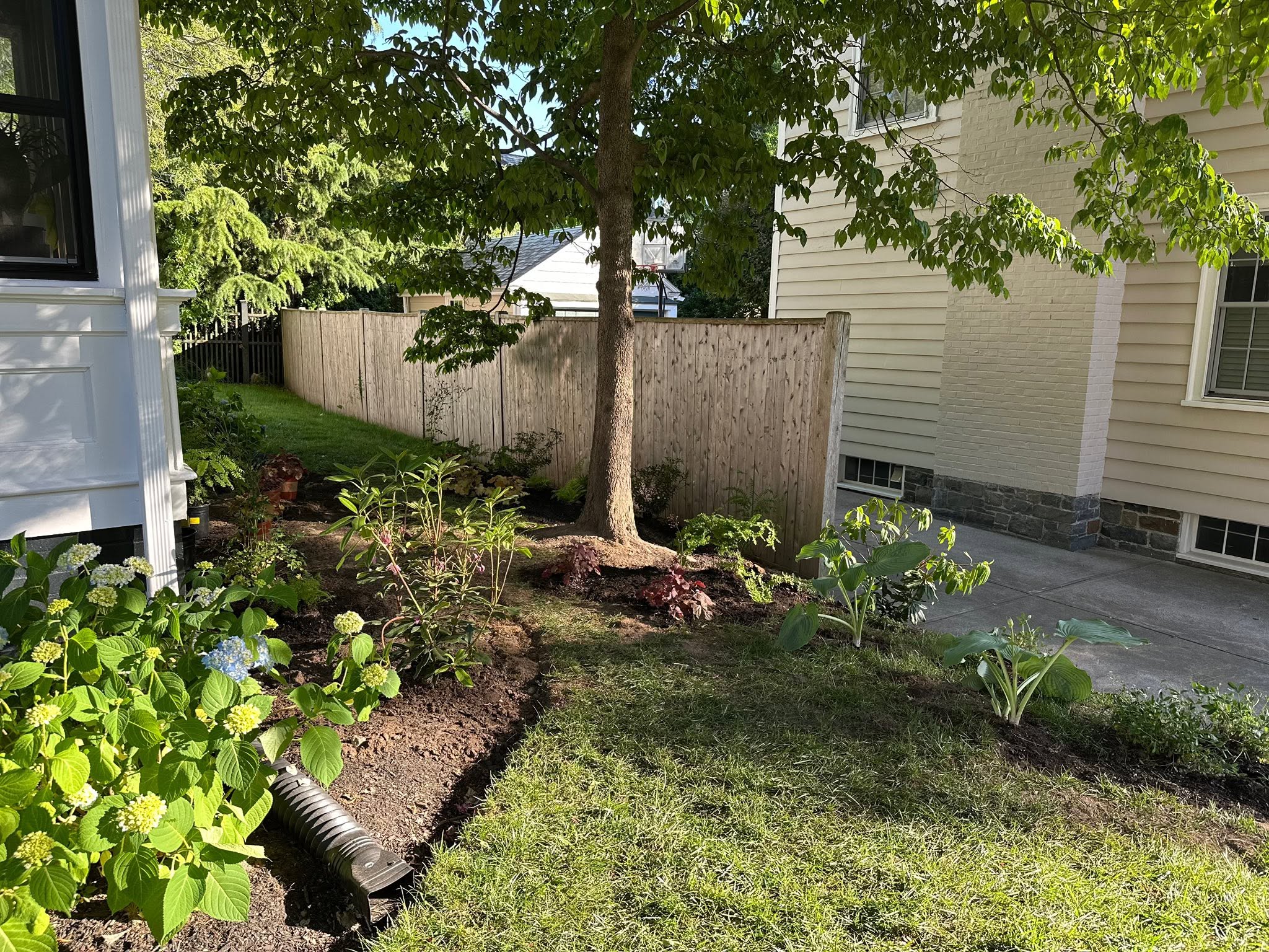 An established garden