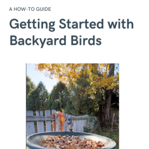 Getting Started With Backyard Birds - Ebook